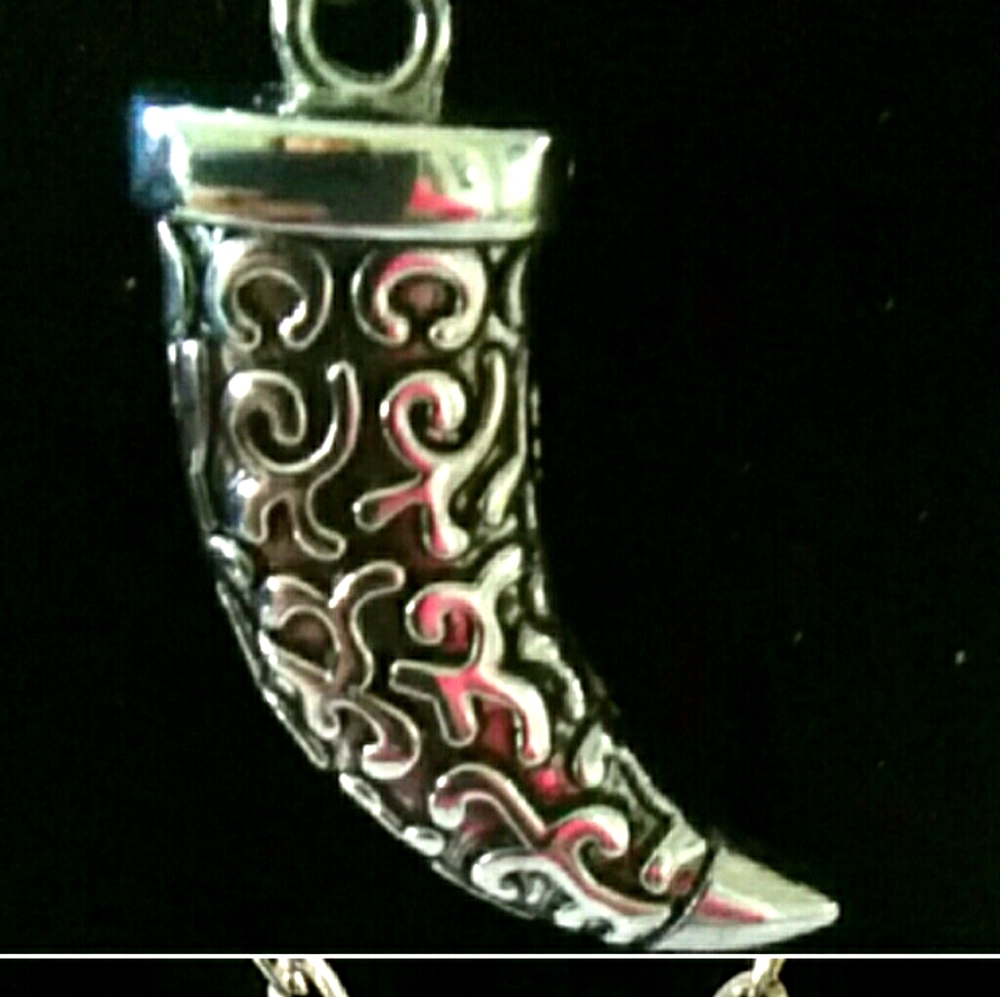 Unisex  large silver European horn Necklaces